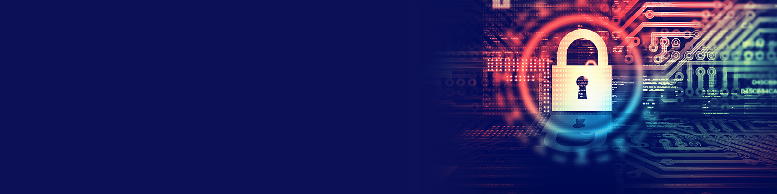 Cyber Privacy Liability