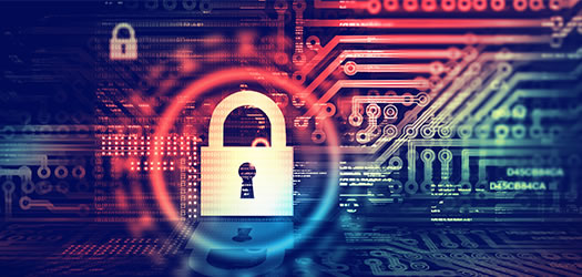 Cyber Privacy Liability